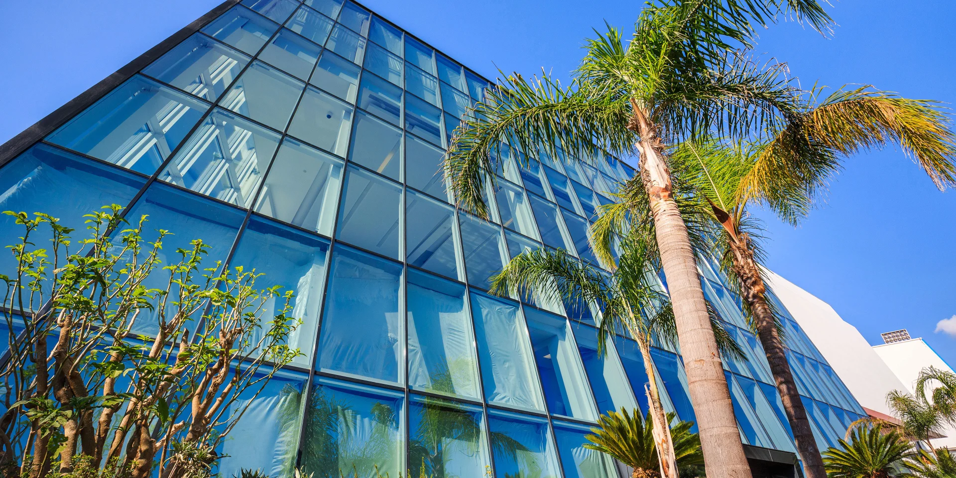 Le Palais des Festivals à Cannes